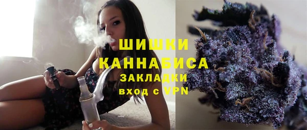 индика Сафоново