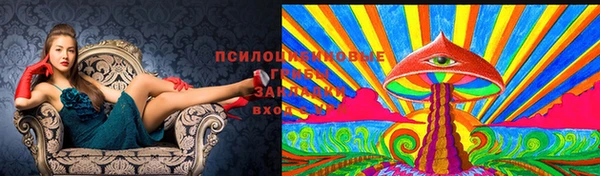 бошки Абинск