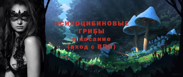 спиды Абаза